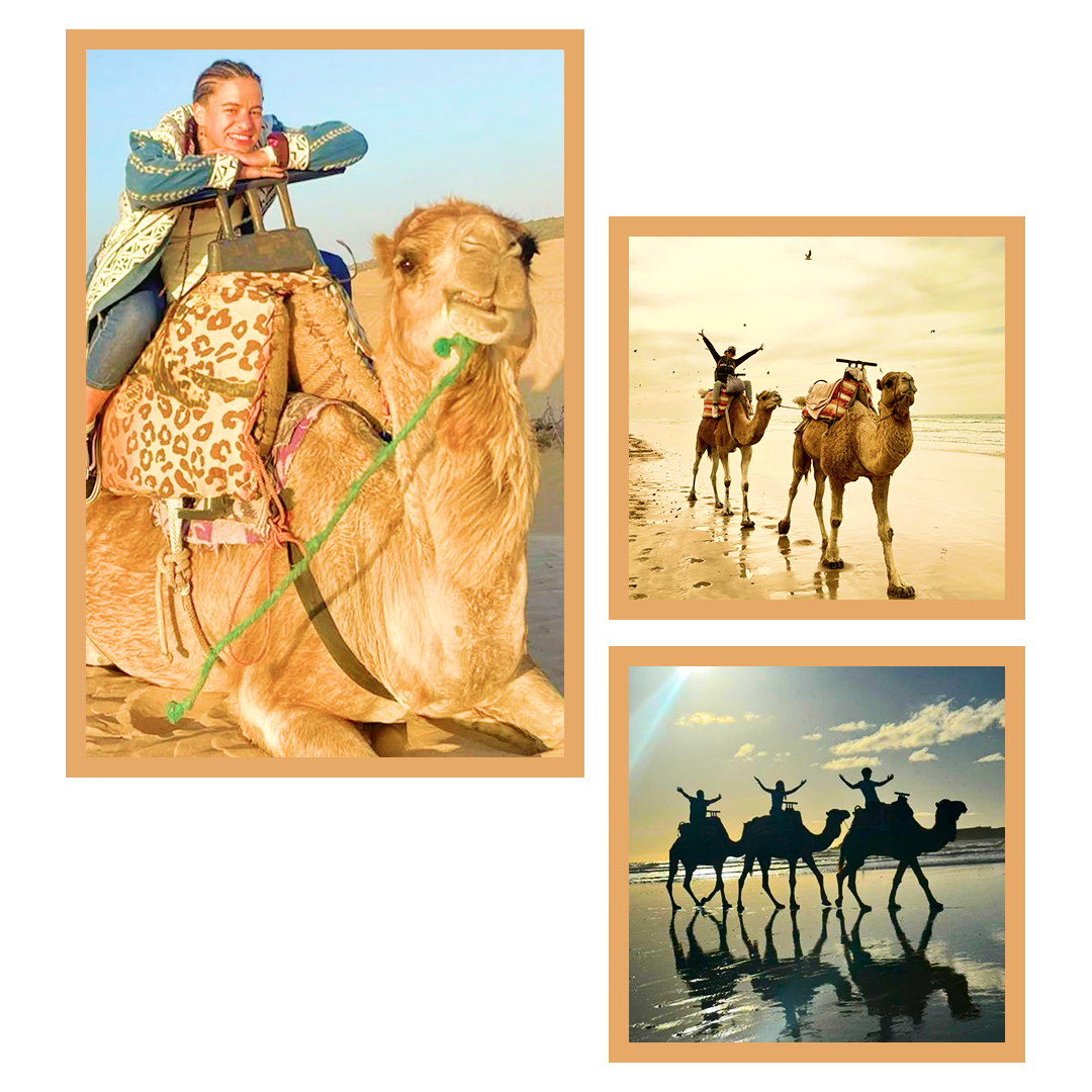 Camel ride Essaouira Morocco