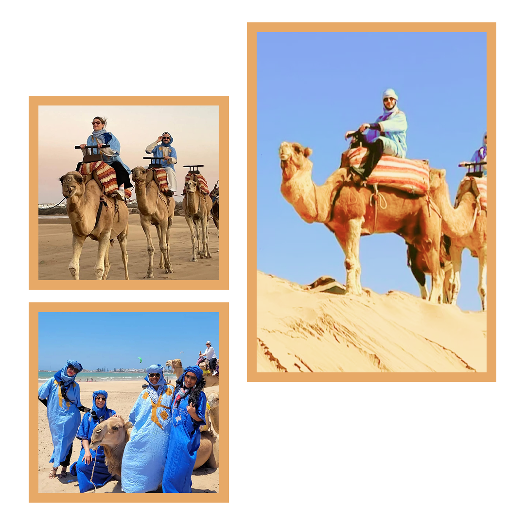 Camel trek Essaouira dunes