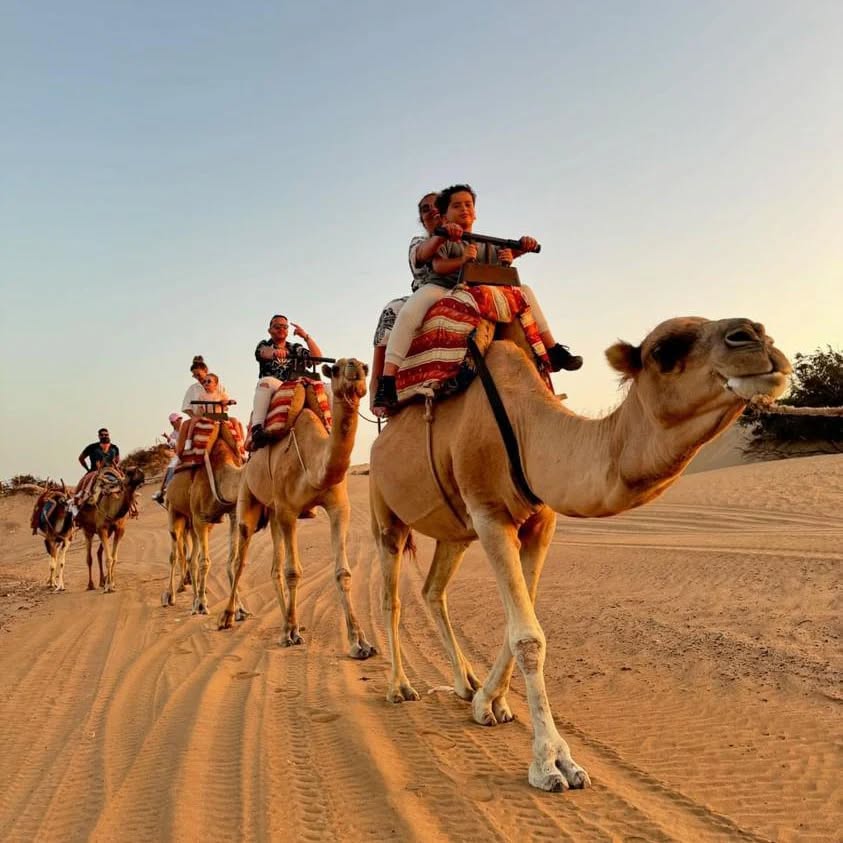 3 Hours – Beach, Dunes, Forest & Borj El Baroud + Tea Break